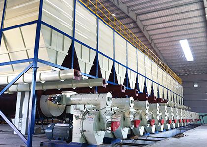 20TPH Wood Pellet Plant in Vietnam (max. 32ton/h)