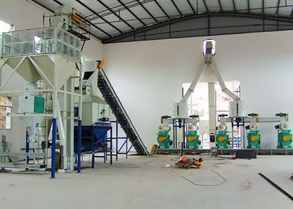 large pellet mill line